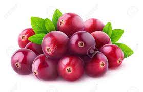 cranberry 2